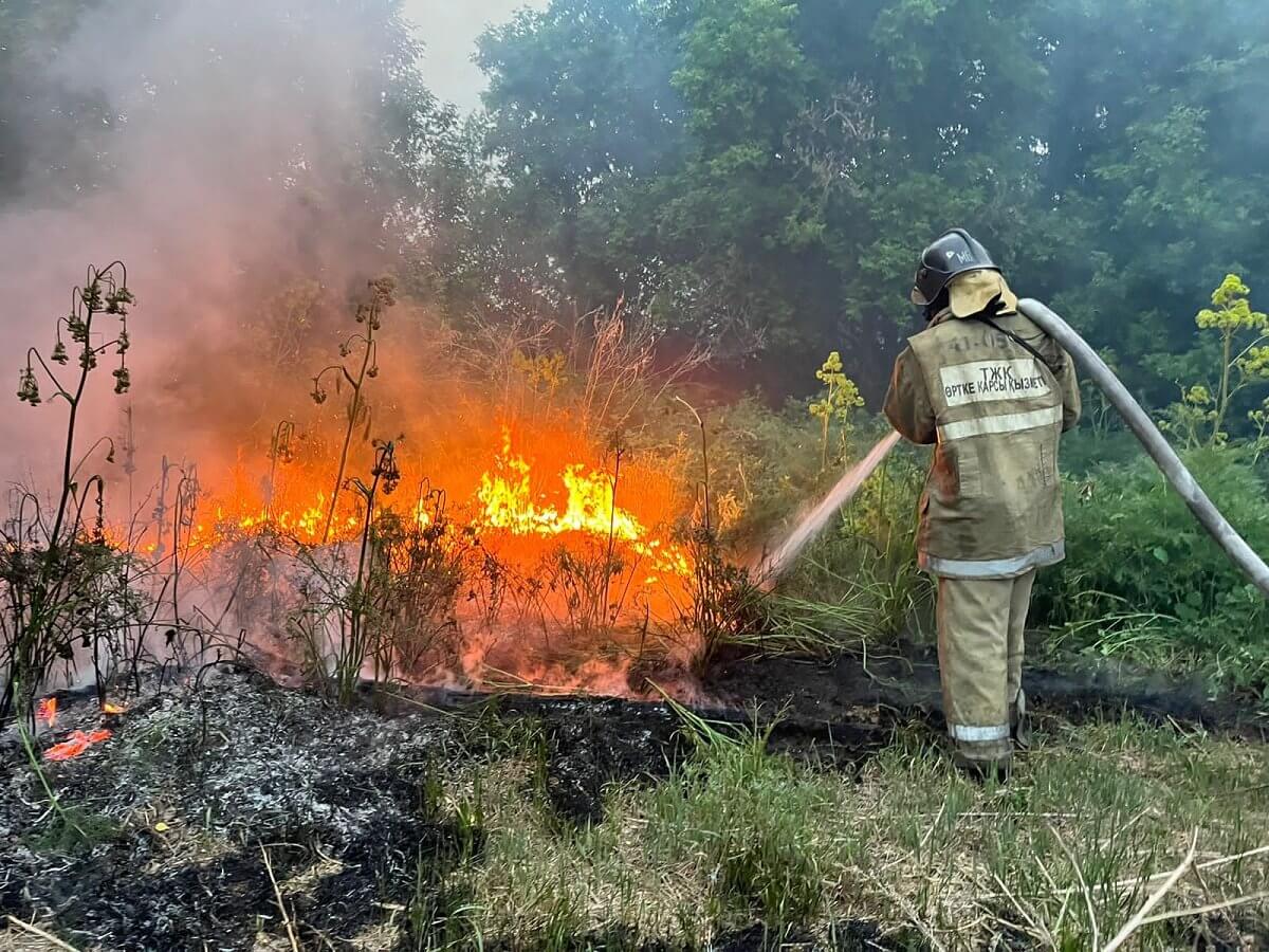 ТЖМ: Абай облысының аумағындағы орман өрттерінің жағдайы тұрақтануда