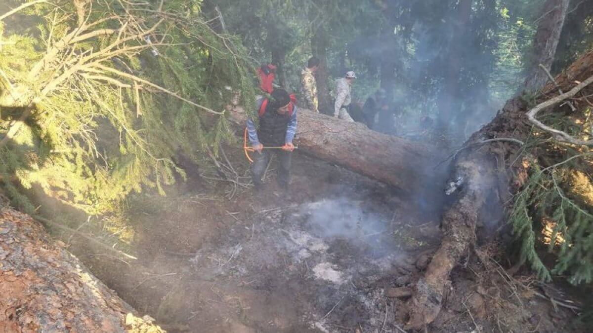 Алматы облысы Балқаш ауданындағы өртті 80 адам сөндіріп жатыр