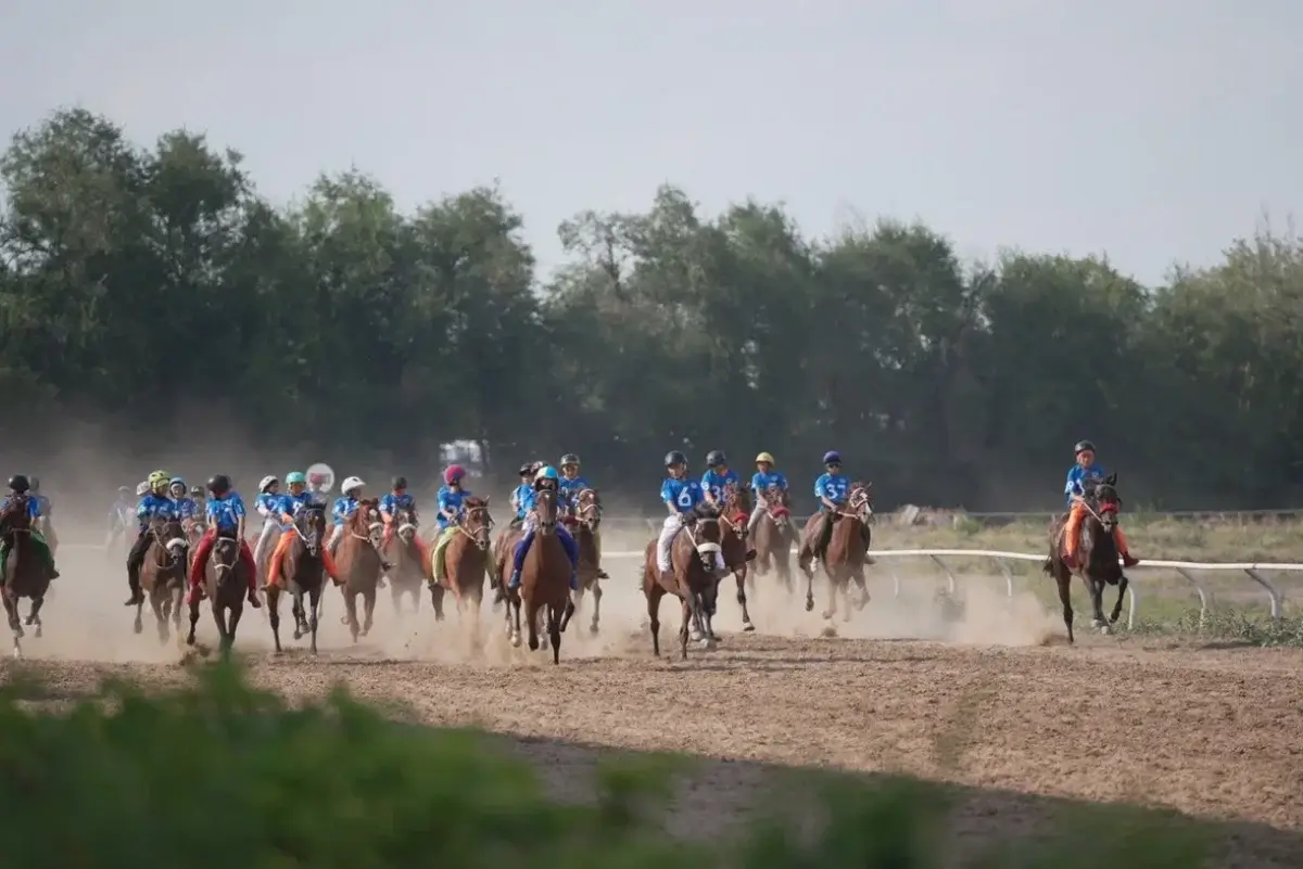 Дүниежүзілік көшпенділер ойындарындағы бәйгеге шабатын аттар белгілі болды