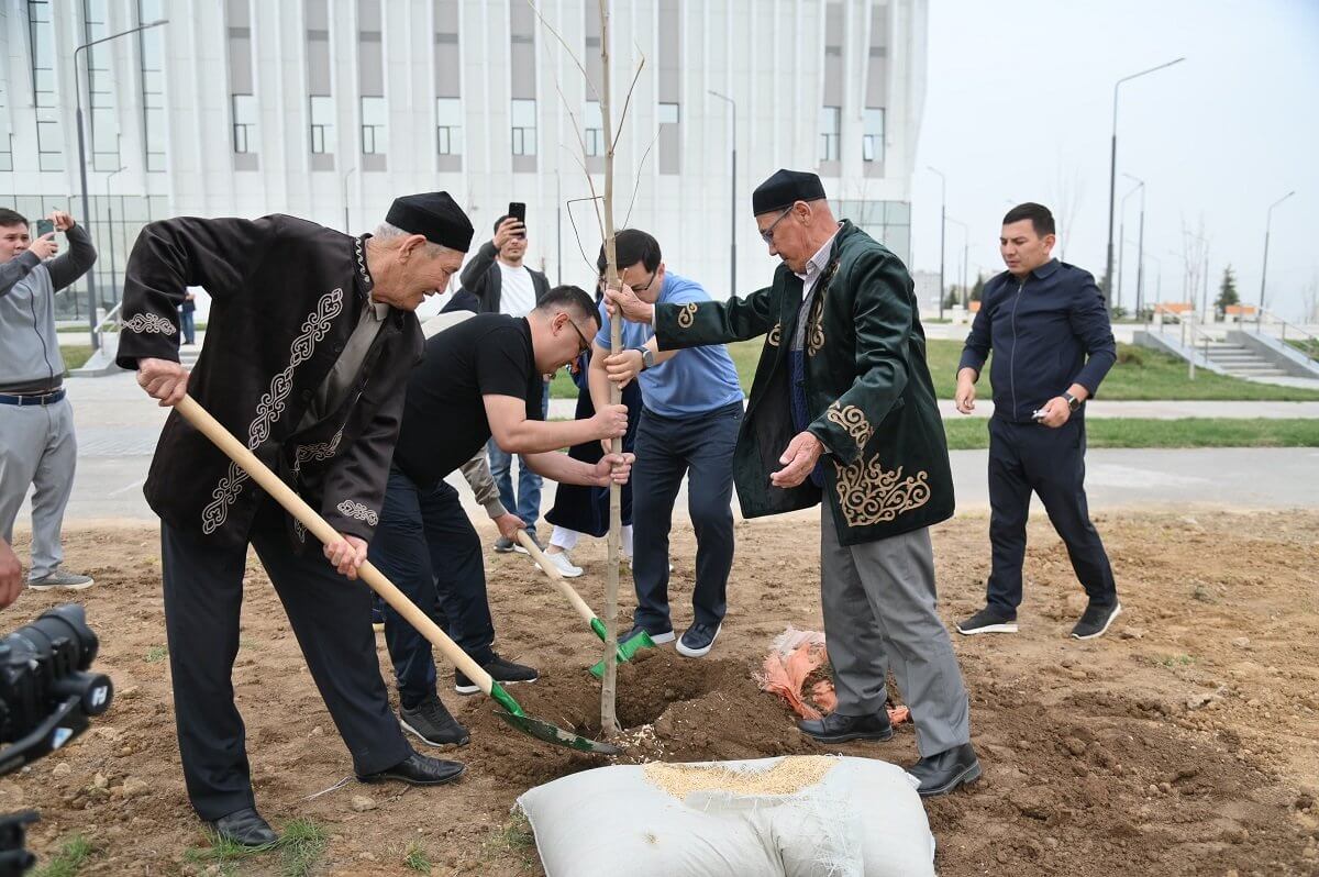 Шымкентте Тазару күнінде бір мыңнан астам түп ағаш егілді