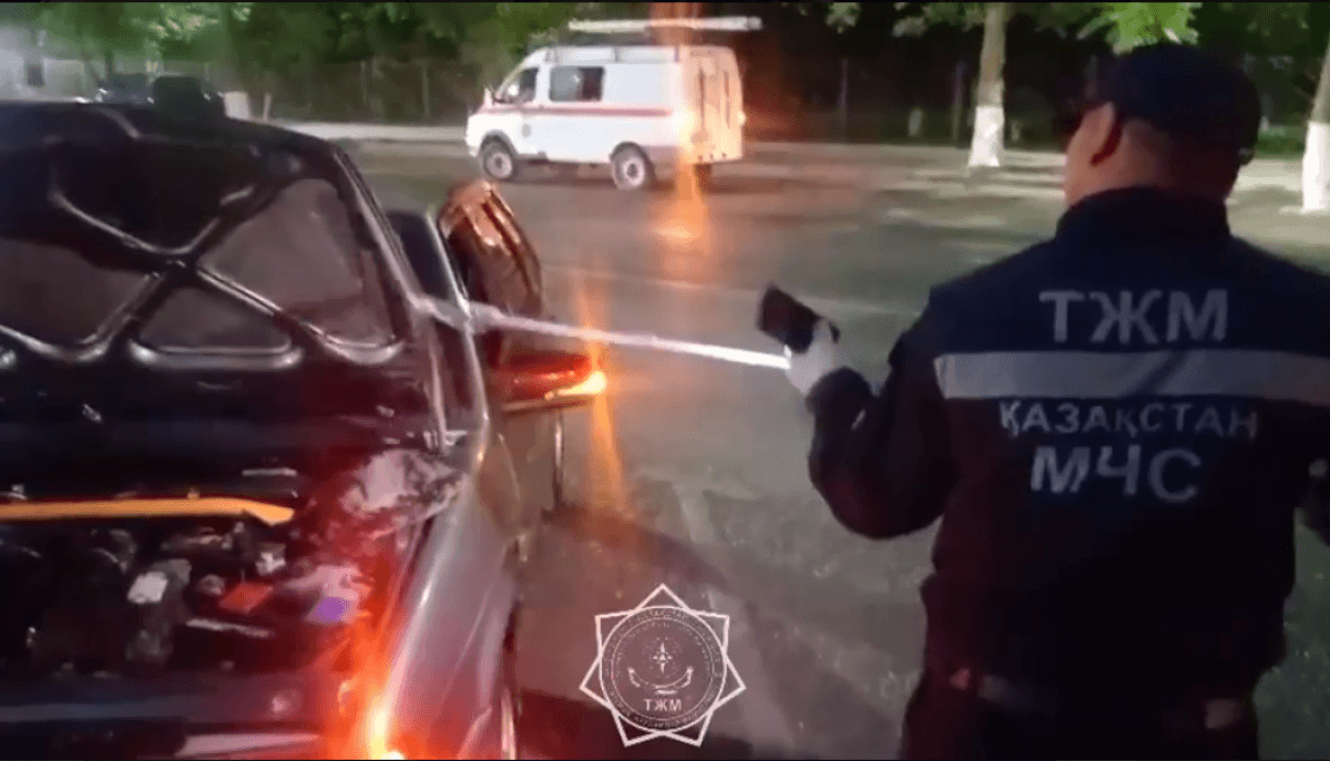 Шымкентте жеңіл көліктің қозғалтқыш бөлігіне жылан кіріп кетті