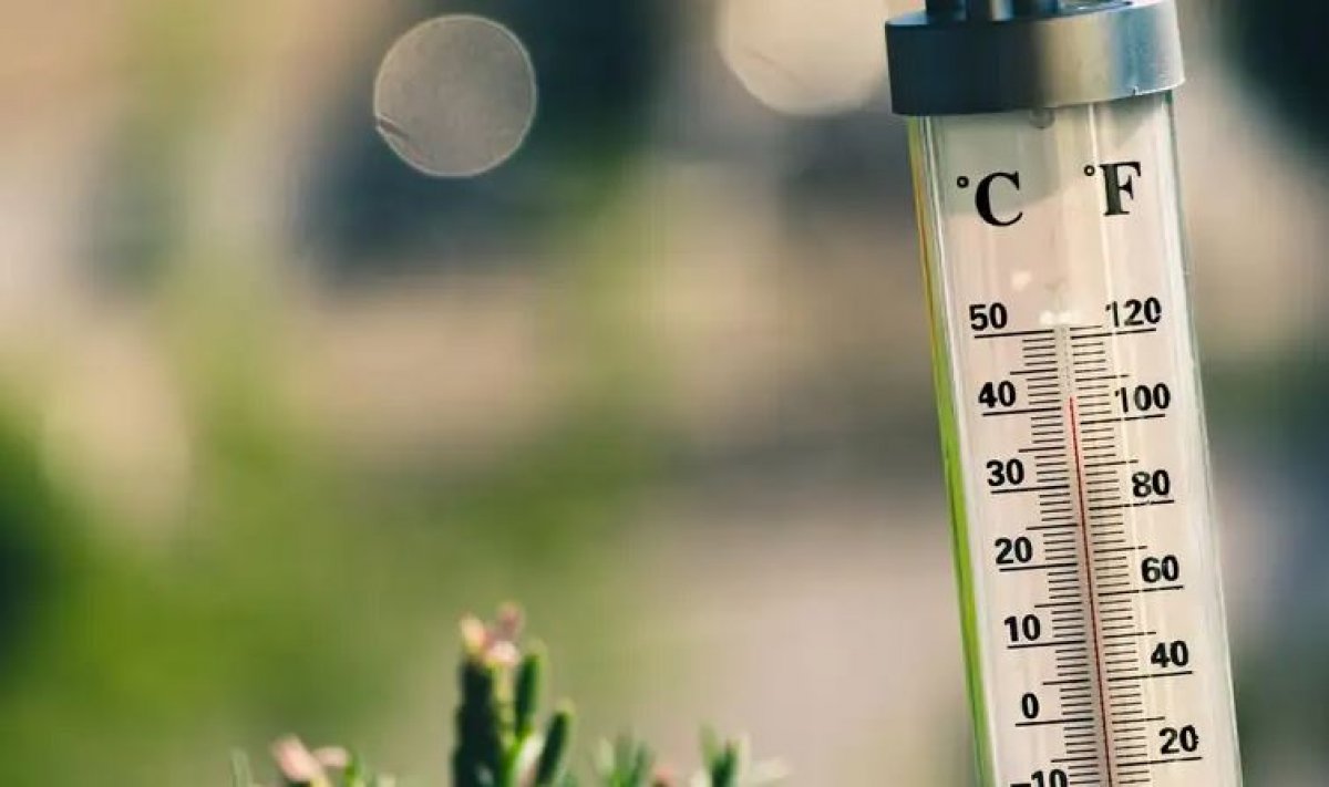 Елімізде 42 градус ыстық болады
