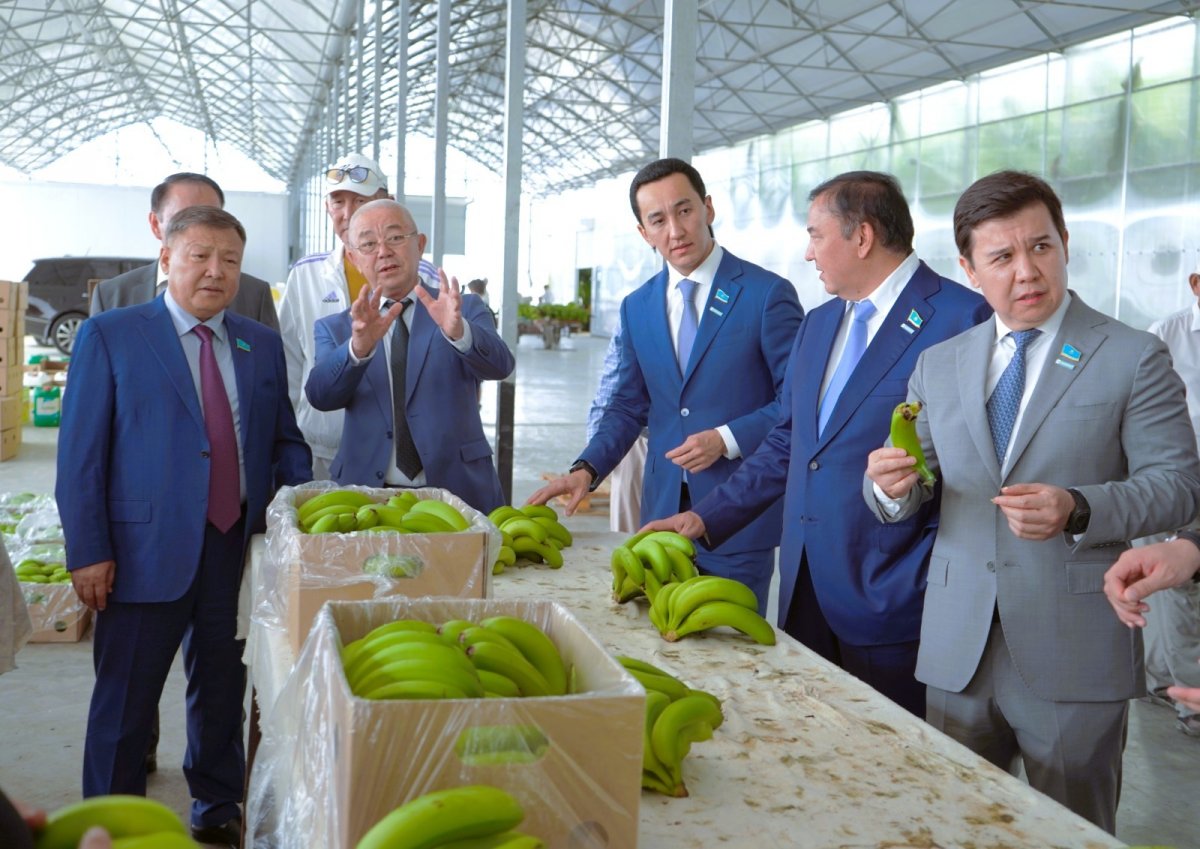 Мәжіліс депутаттары Түркістан облысындағы шаруалармен жүздесті