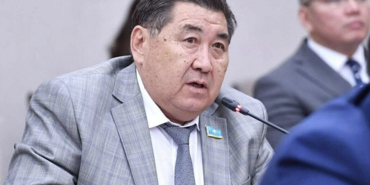Назарбаев мемлекеттік басқару жүйесінен толықтай шеттетілген – Ермұрат Бапи