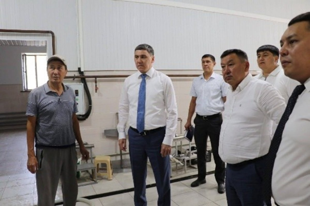 Түркістан: Түлкібас ауданында сүтті терең өңдеу саласы дамып келеді
