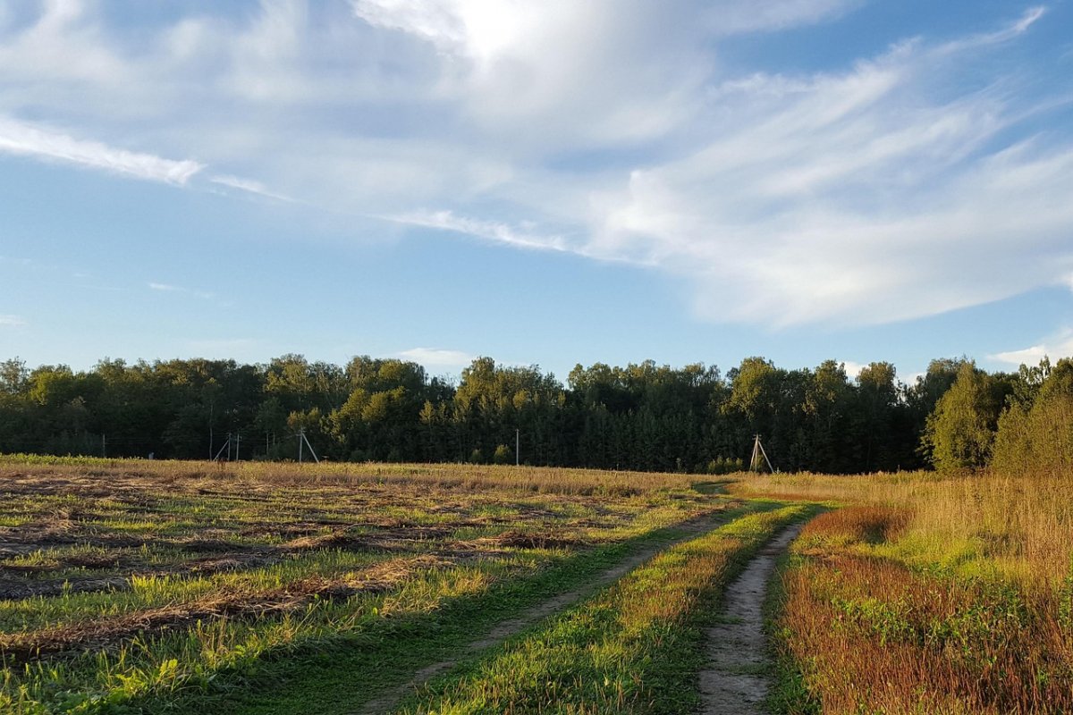 Еліміздің үш мегаполисінде ауа райы қандай болады