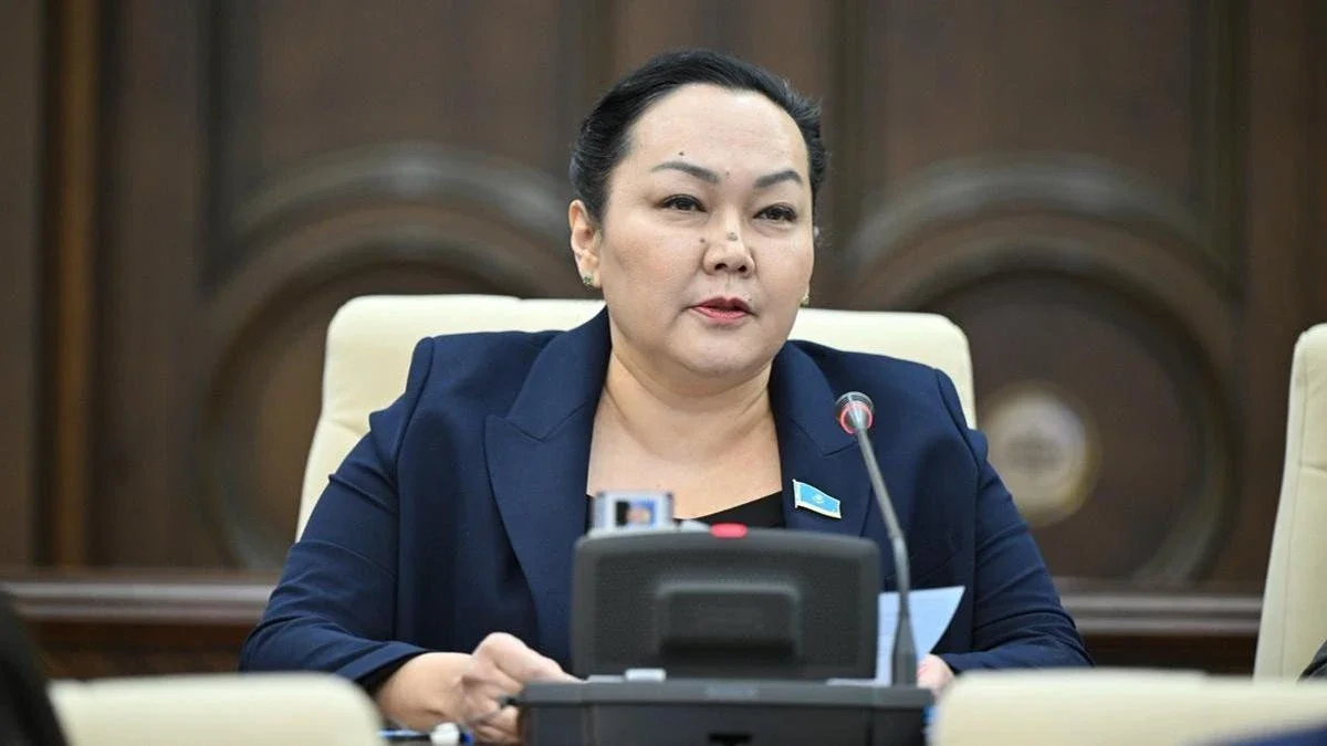 Көпбалалы аналарға қатысты әділетсіз саясатқа қарсымын - экс-депутат