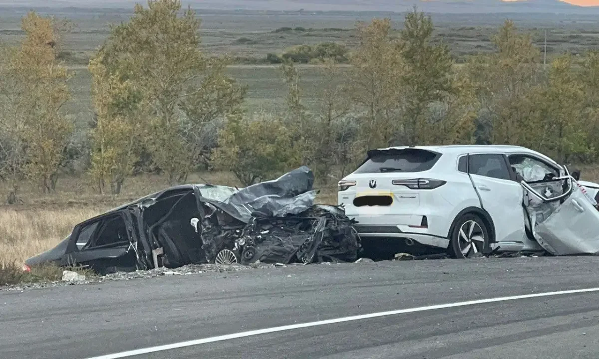 Қазақстанда бір түнде жол апатынан 15 адам қаза тапты