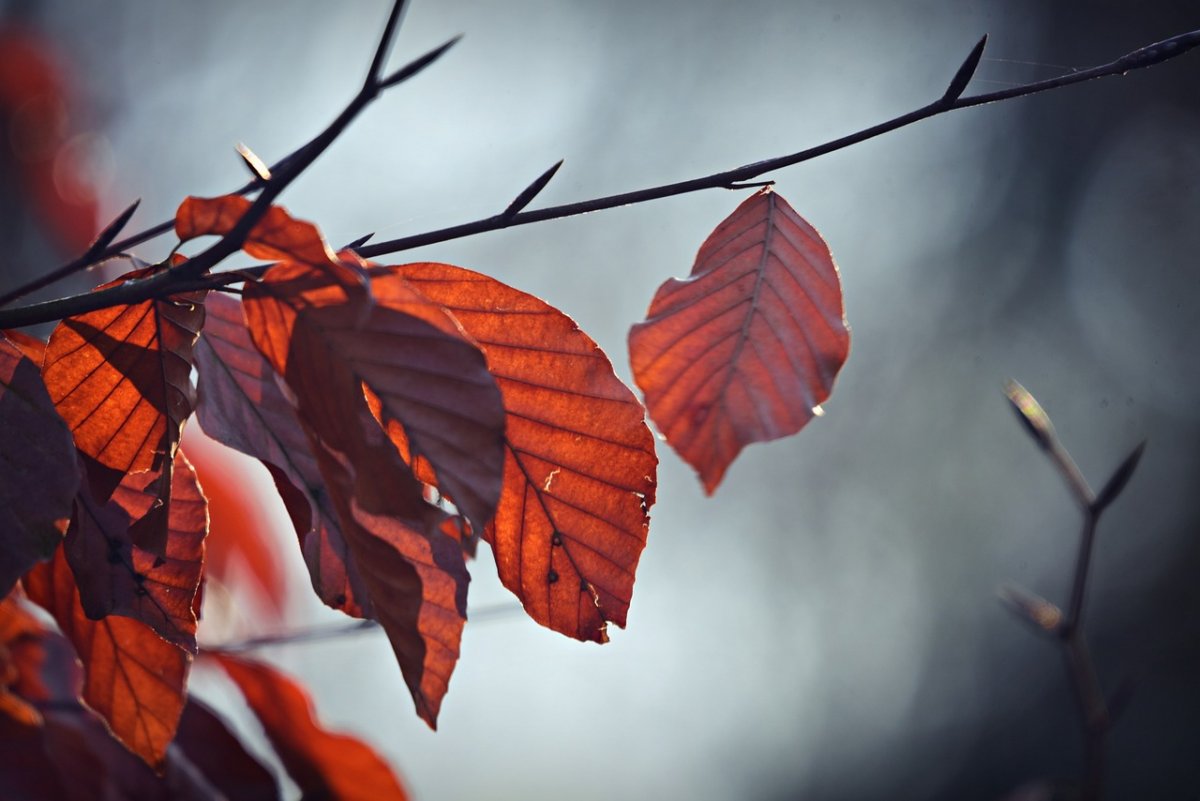 Қазақстанның басым бөлігінде жауын-шашынсыз ауа райы күтіледі