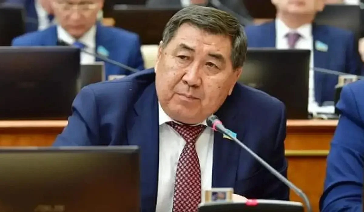 Астанадағы аналардың митингін белгілі бір күштер ұйымдастырған – Бапи