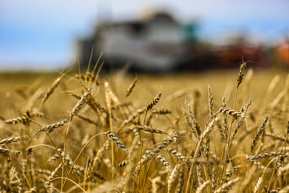 Ақтөбе облысында ауыл шаруашылығын қолдауға 15 млрд теңге бөлінді