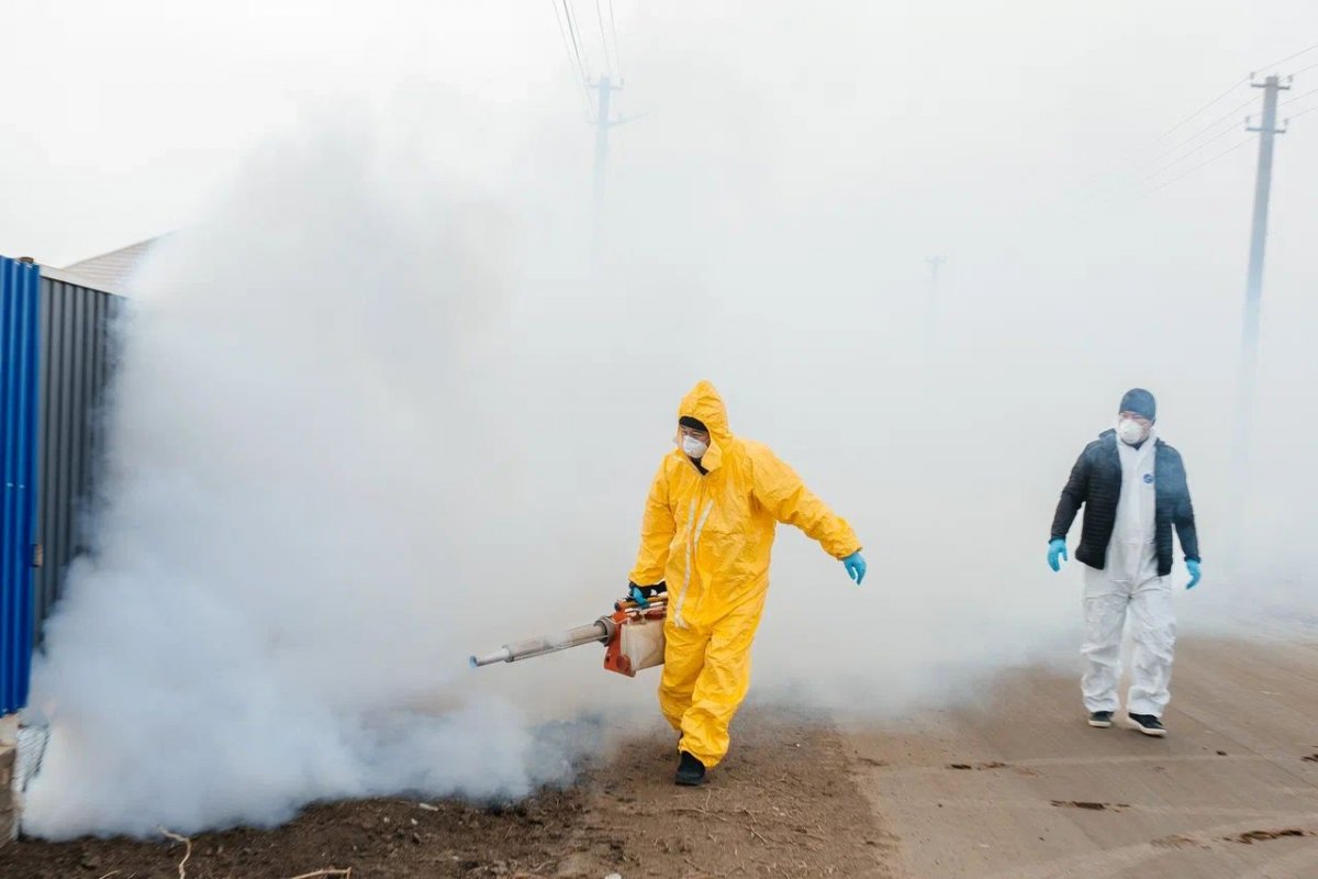 Бейбарыс ауылдық округіндегі кеміргіштерге қатысты жағдай бақылауда