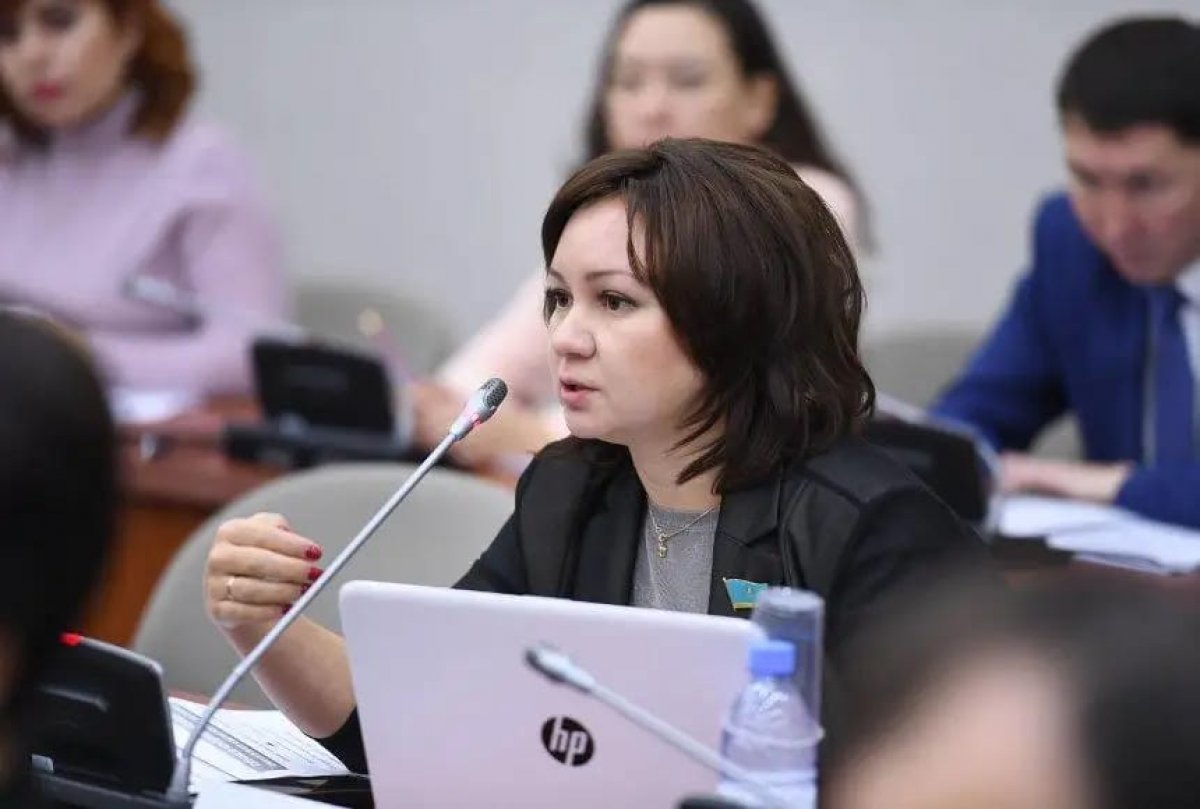 «Тегін» деген сөз қайда? Жаңа Конституцияда медицина мен білім жайлы баптан қате кетті ме?