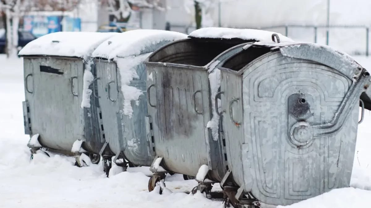 Семейде қоқыс жәшігінен жаңа туған сәбидің мәйіті табылды