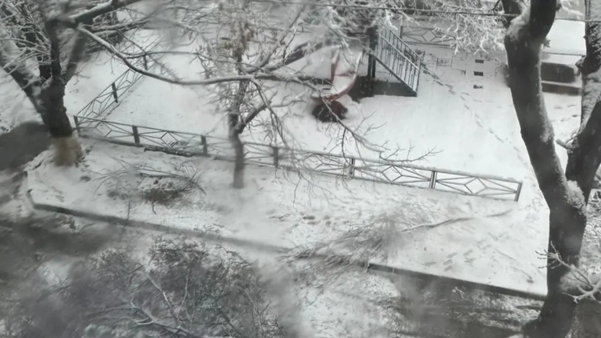 Шымкентте 4-сынып оқушысы ағаш бұтағының астында қалып қайтыс болды