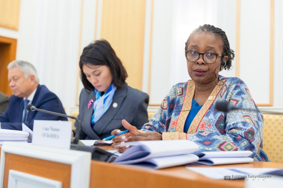 Халықаралық қауымдастық конституциялық реформаны қалай бағалады