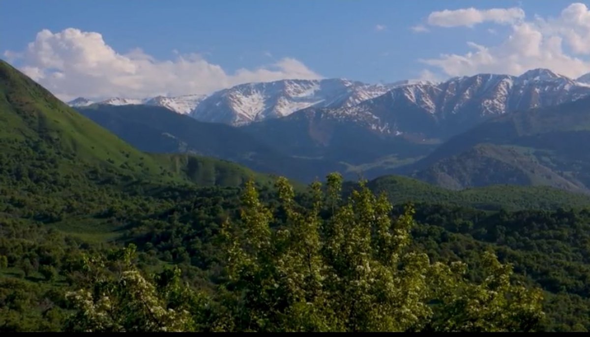 30 жылдық мерейтойға орай 30 бастама: Іле Алатауы ұлттық саябағы 2025 жылы елеулі еңбекпен көзге түсті