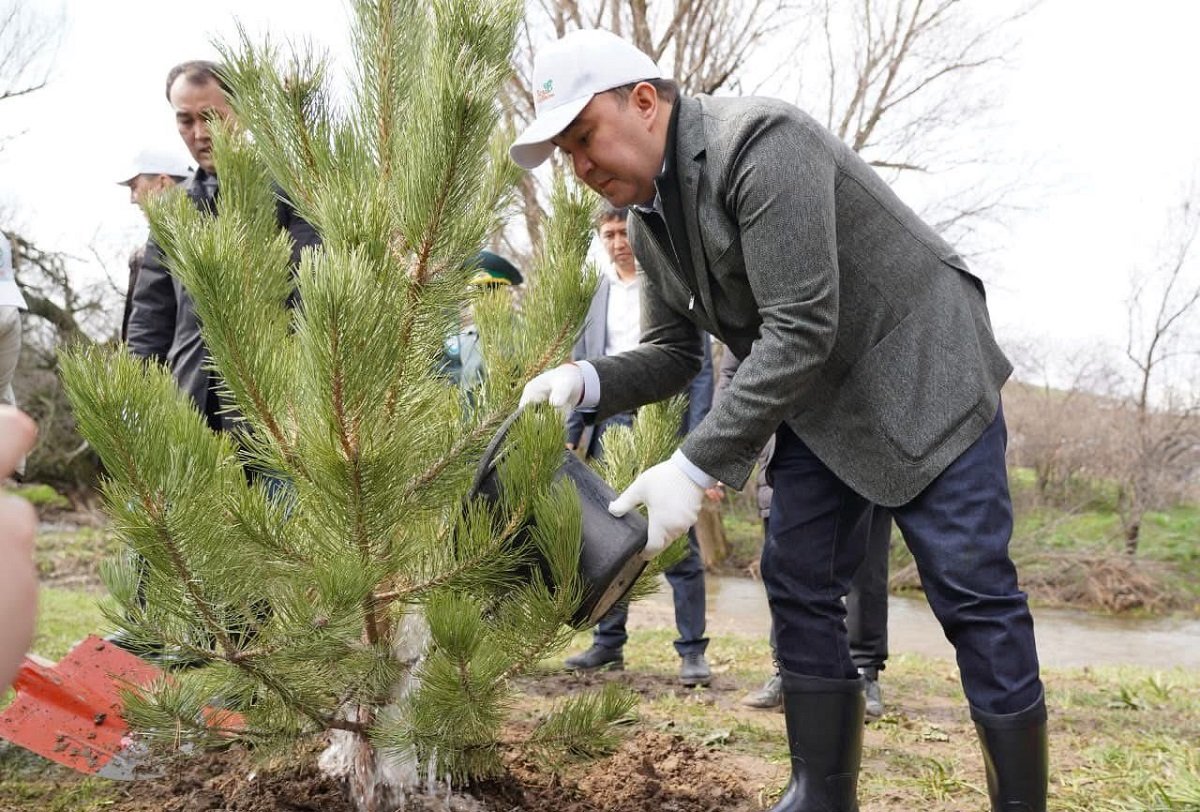 Жаңару күні Түркістан облысында «Мөлдір бұлақ»  экологиялық акциясы өтті