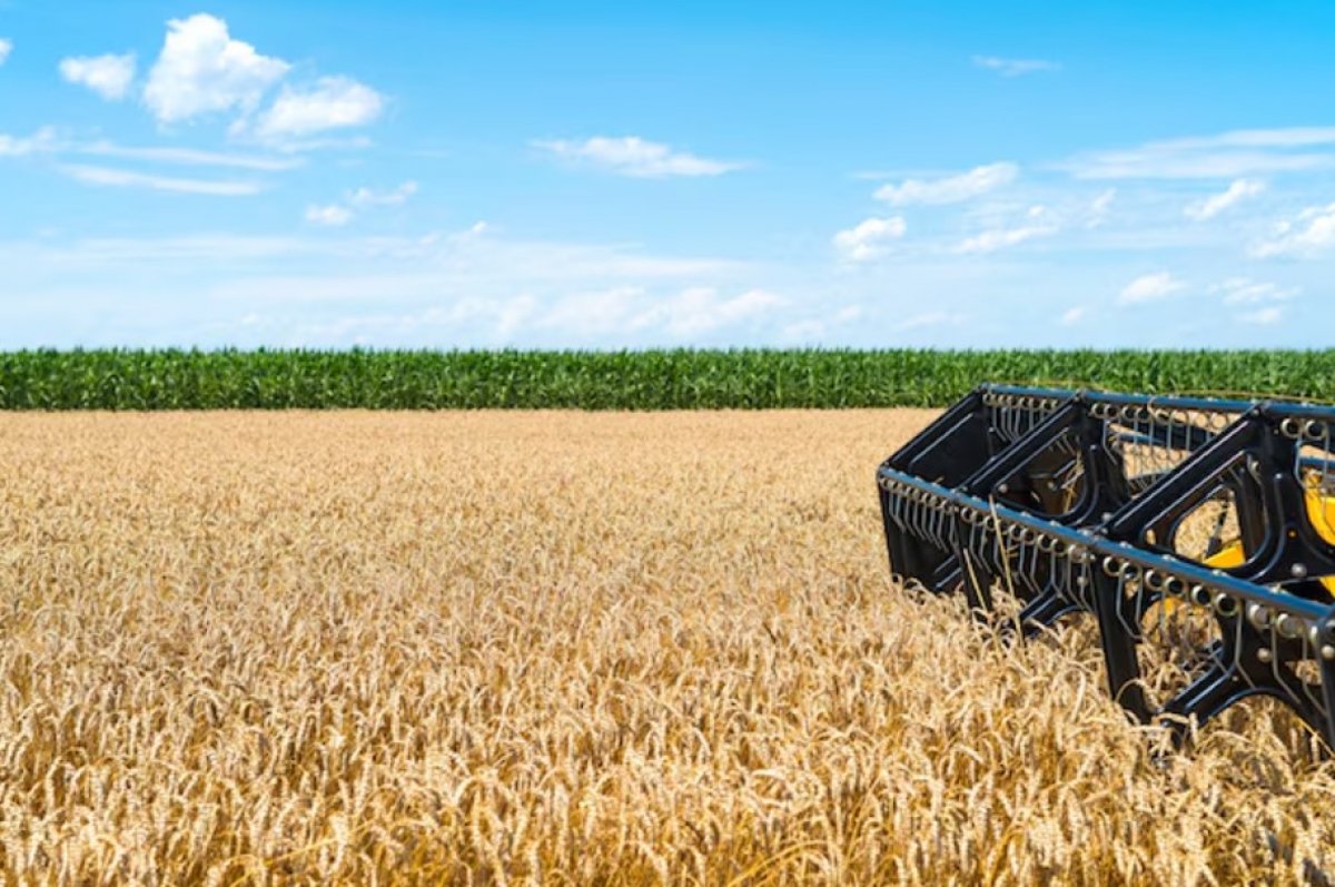 Ерте қаржыландыру егіс науқанына қалай әсер етеді