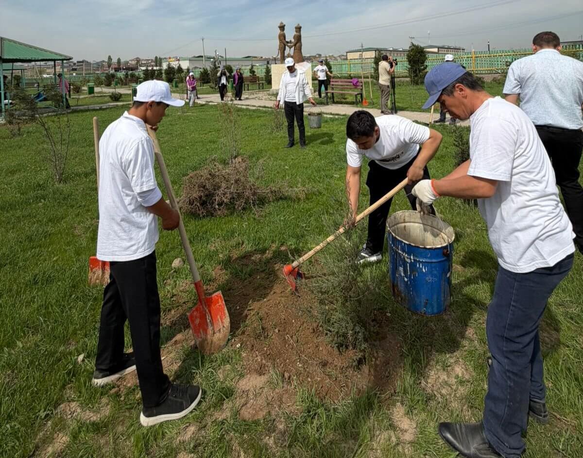 Түркістан облысында "Таза Қазақстан" жобасы аясында көгалдандыру жұмыстары жүргізілді