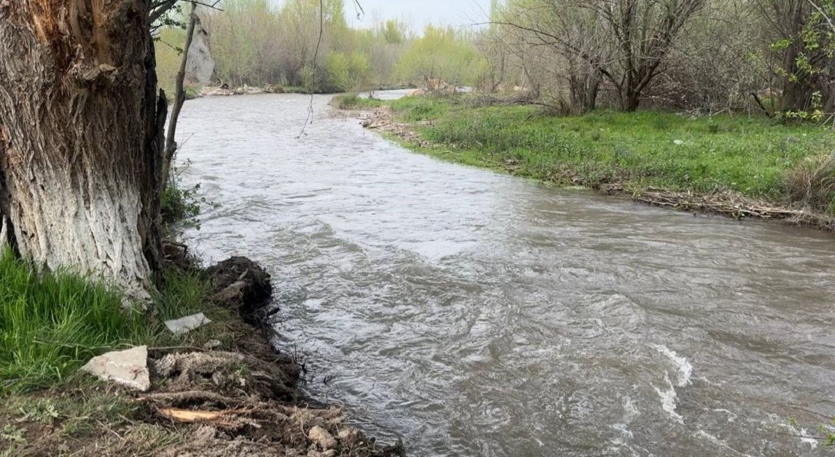 Түркістан облысында тағы бір бала суға кетті