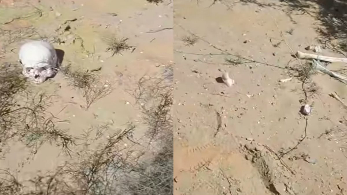 Атырау облысында иен даладан адам сүйектері табылды