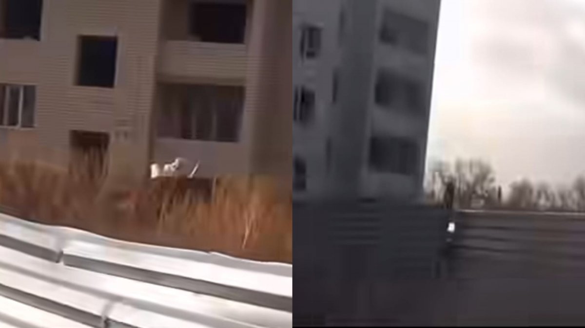 «Добын алмақ болған»: Теміртауда үш баланы тоқ соғып, ауруханаға түсті