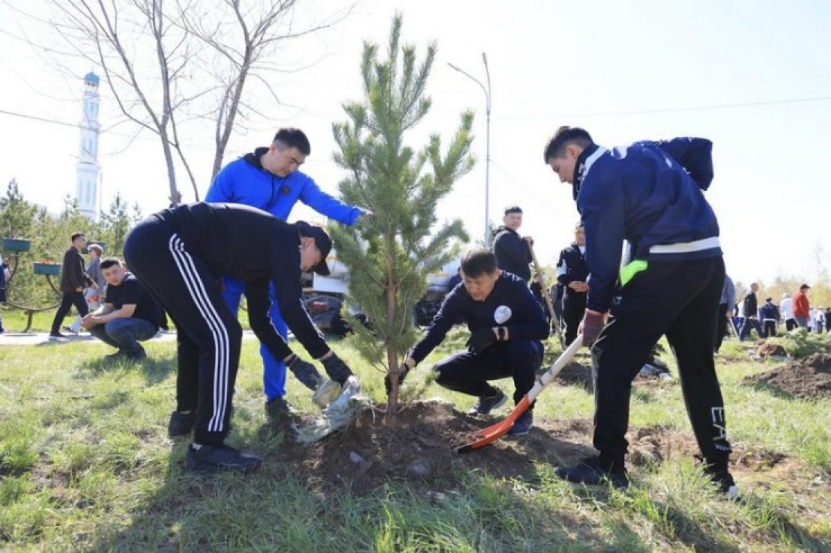 «Таза Қазақстан»: Қарағанды этнопаркіне 1500 ағаш егілді