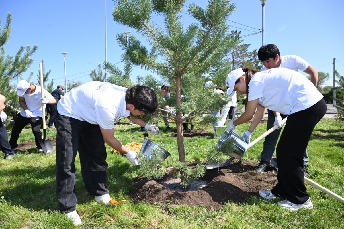 «Жасыл желек» республикалық акциясы: Жетісуда 8 мыңнан астам ағаш отырғызылды