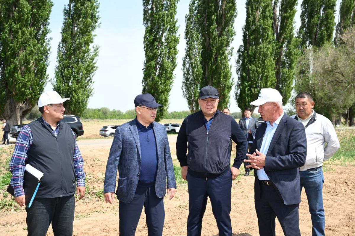 Жетісуда шаруашылықтар егістікке жаңа агротехнологияларды енгізуде