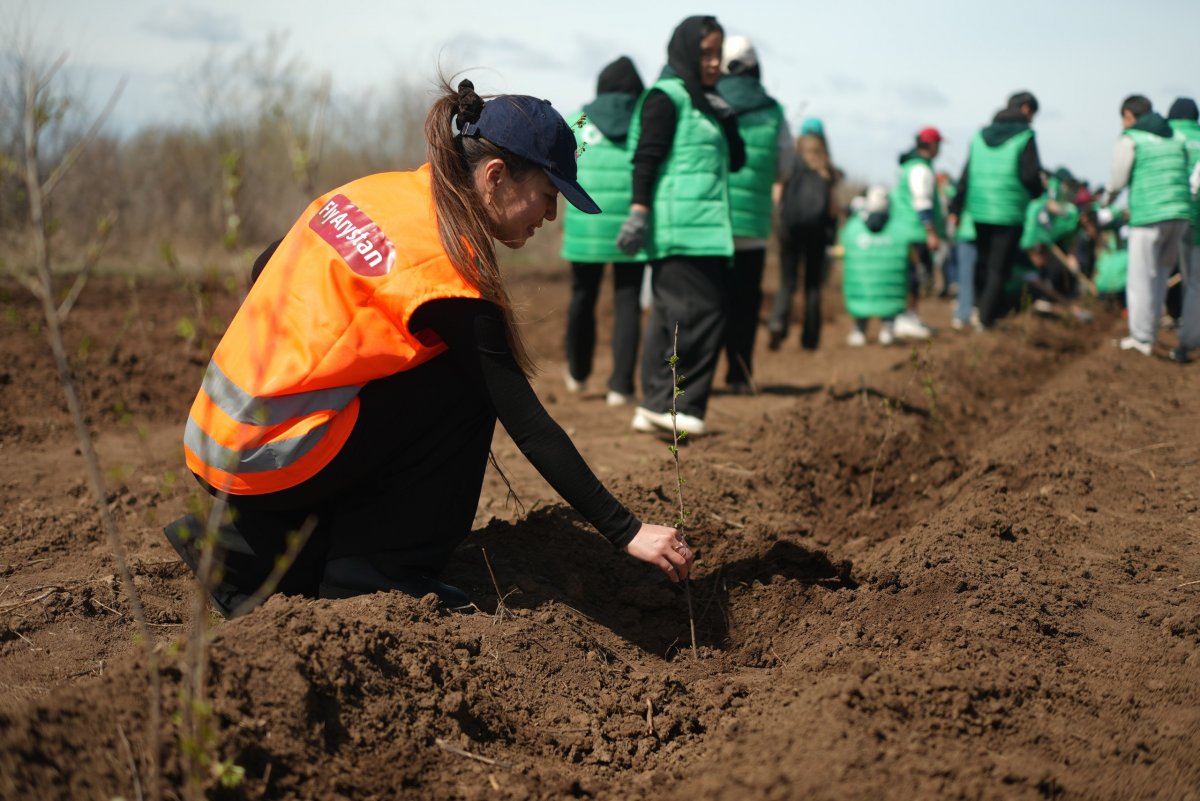 FlyArystan «Halyk» қорының орманды қалпына келтіру жобасын қолдады