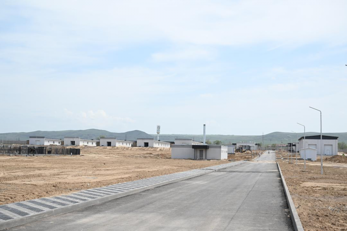 Жетісуда тазы және төбет ит тұқымдарын өсіру орталығы салынып жатыр