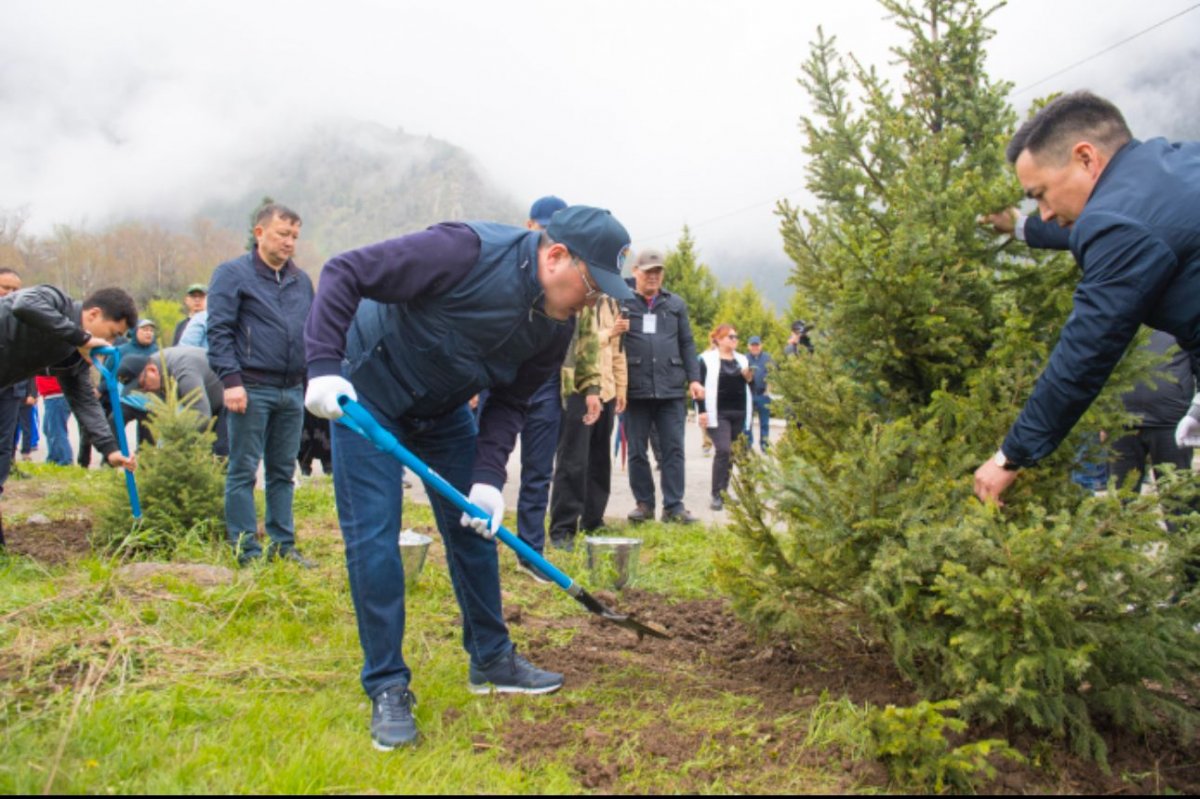 Алматы облысында мереке күндері жаппай «Тазалық күні» болып жарияланды