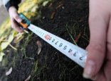 Қосшыда 65 млн теңгенің жер учаскесі мемлекетке қайтарылды