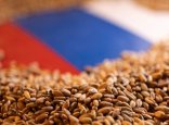 Қостанайлық кәсіпкерлер ресейлік астықты заңсыз тасымалдаған