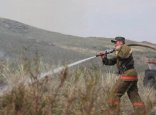 Абай облысындағы өрттің көлемі 350 гектарға жетті