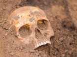 Маңғыстау облысында адамның бас сүйегі табылды