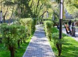 Алматыда жаңа жобаларға сәйкес базарлар аумақтары көгалдандырылады