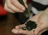 Атырауда насыбайды заңсыз сатқан шетелдік ұсталды
