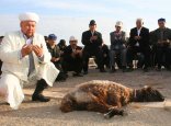 Құрбан шалу рәсімін қашықтан өткізуге арналған сайт іске қосылды: мал басы қаншадан басталады