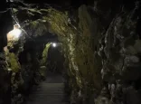 Қандай көмек көрсетіледі?: Мемлекет басшысы Ұлытаудағы шахтада қаза болған кеншілердің отбасына көңіл айтты