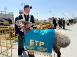 Жүлде қоры – 30 000 АҚШ доллары: Түркістан облысында мал шаруашылығының халықаралық көрмесі өтті