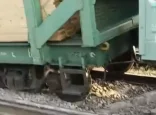Жамбыл облысында жүк пойызы рельстен шығып кетті