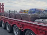 Елімізден стратегиялық маңызды шикізат заңсыз шетелге шығарылмақ болды