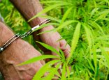 Жамбыл облысының 51 жастағы тұрғын ірі көлемде марихуана сақтаған