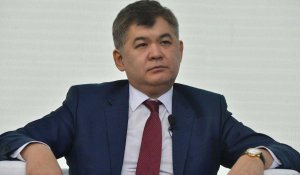 «Заң жобасы шикі болып шықты» - экс-министр Елжан Біртанов