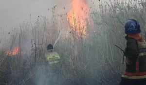 Астана маңындағы ірі өрт сөндірілді