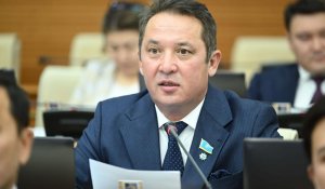 Үкімет қайда қарап отыр? Өзбекстаннан қалып қойдық - депутат