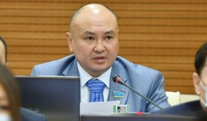 «Сыртқы күштер бар»: депутат Сайыров ЛГБТ-ны насихаттауға қарсы петиция жайлы айтты