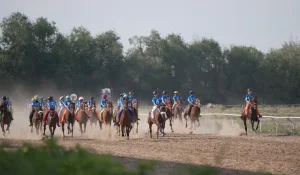 Дүниежүзілік көшпенділер ойындарындағы бәйгеге шабатын аттар белгілі болды